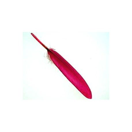 Plume 8/10 cm DARK FUSHIA x3  - 1