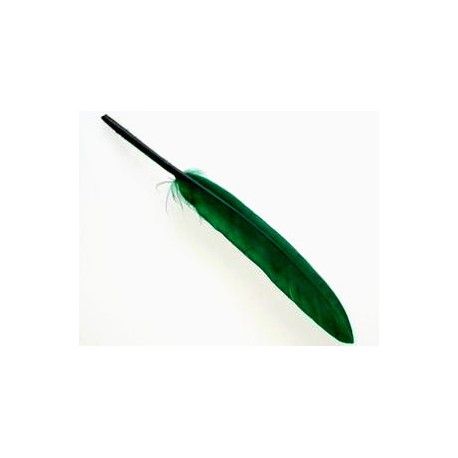 Plume 8/10 cm FOREST GREEN x3  - 1