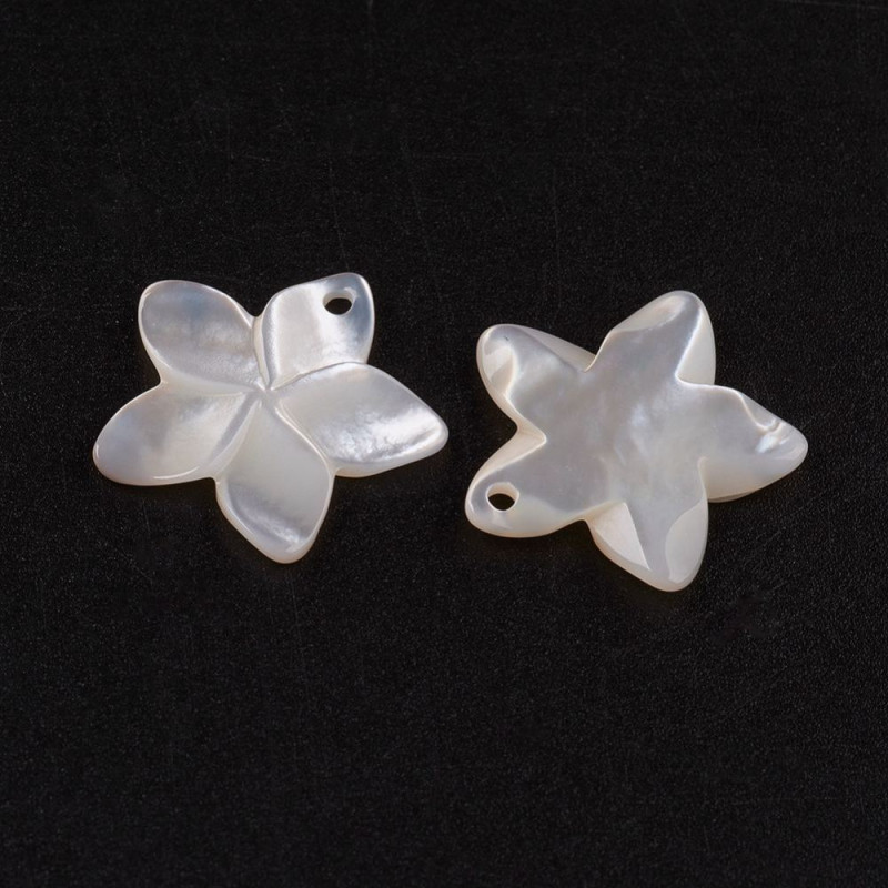 Perles de Coquillage Blanc Naturel - Nacre Forme Fleur, 18.5x19x2mm, Trou 0.8mm x1